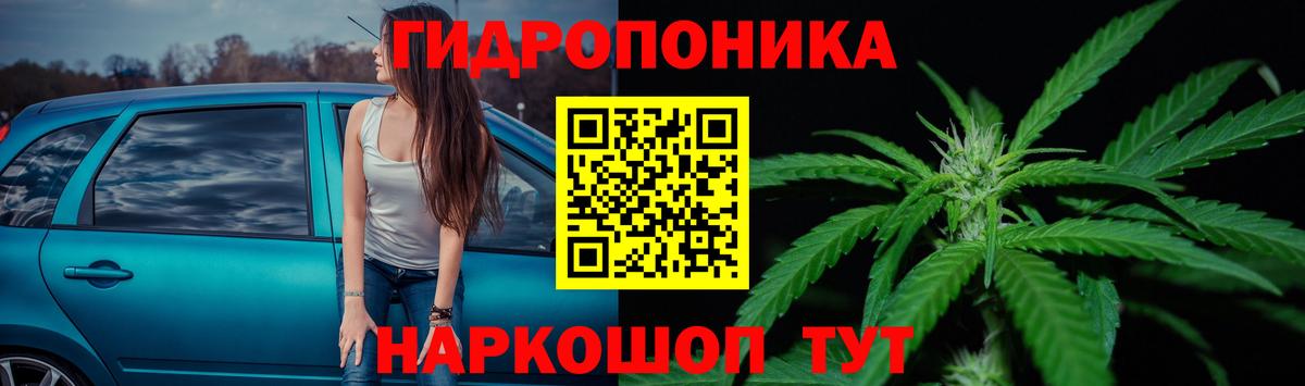 Шишки марихуана AK-47  Шишки марихуана марихуана  Вход с VPN  МАРИХУАНА гибрид  Бошки Шишки Amnesia  Киселёвск 